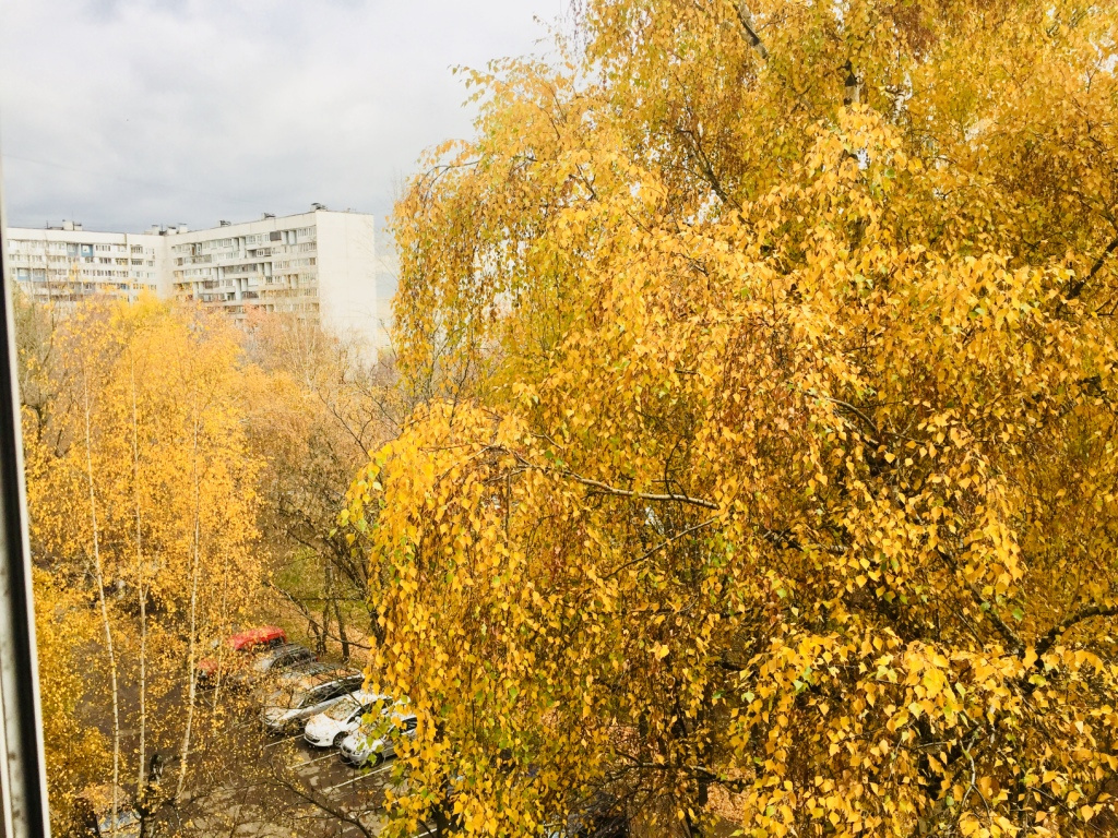 3-комнатная квартира, 68 м² - фото 18