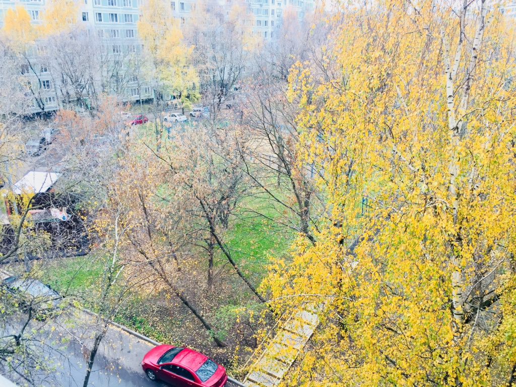 3-комнатная квартира, 68 м² - фото 17