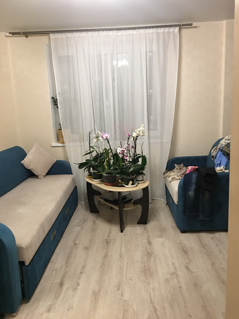 2-комнатная квартира, 53.3 м² - фото 10