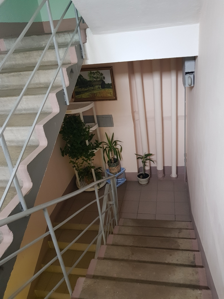 2-комнатная квартира, 54 м² - фото 4