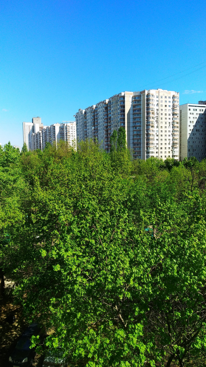 3-комнатная квартира, 73.2 м² - фото 8