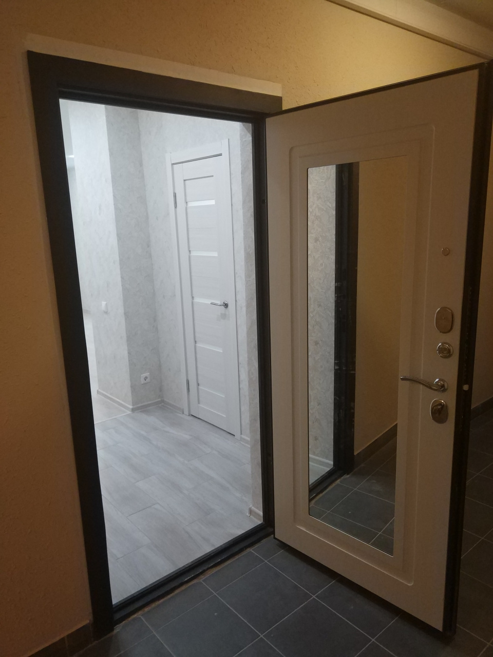 0-комнатная квартира, 24 м² - фото 6