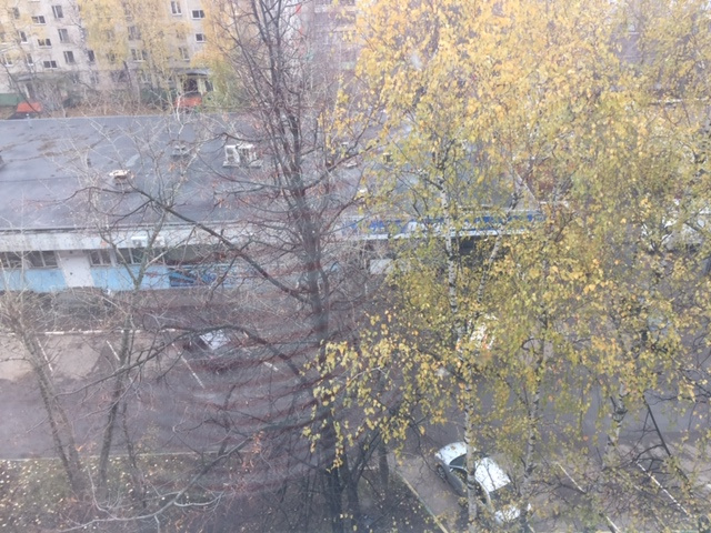 1-комнатная квартира, 33 м² - фото 19