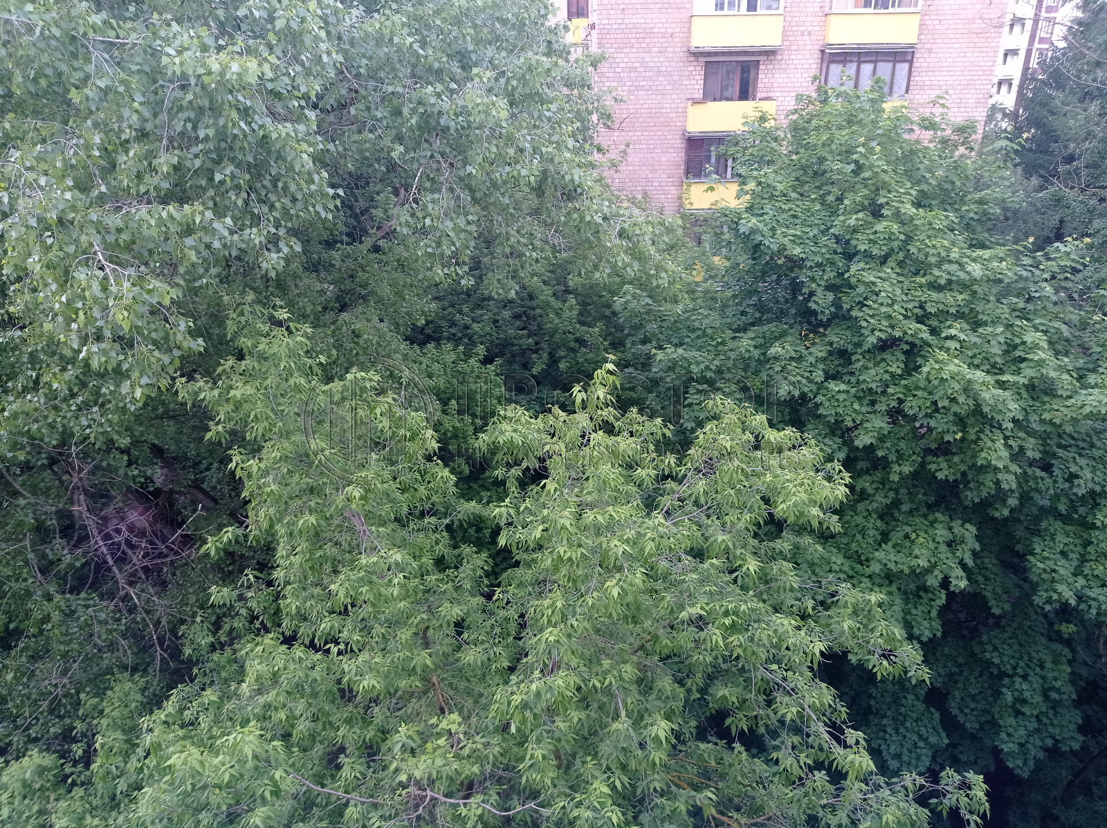 4-комнатная квартира, 123 м² - фото 21