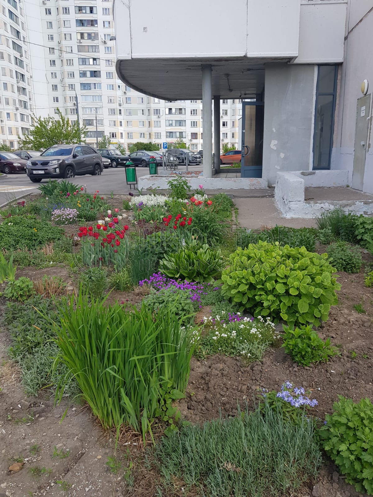 1-комнатная квартира, 40 м² - фото 3