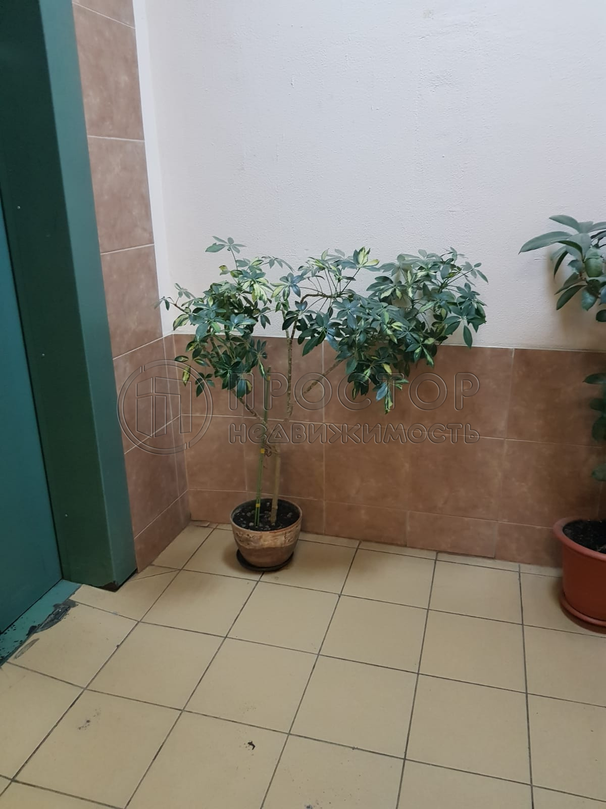 1-комнатная квартира, 40 м² - фото 16