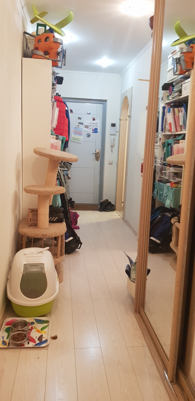 3-комнатная квартира, 62.9 м² - фото 13