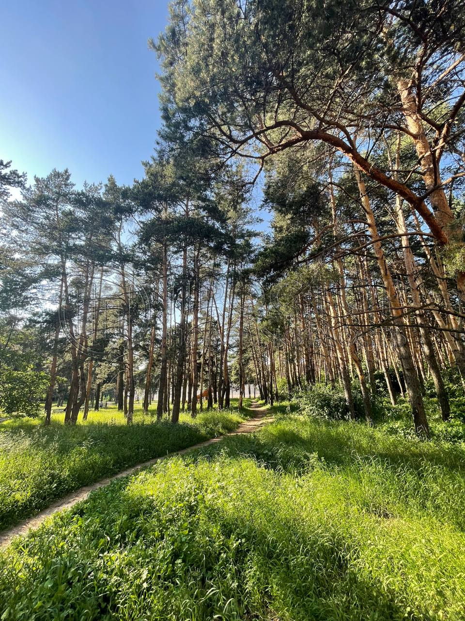 3-комнатная квартира, 59.6 м² - фото 39