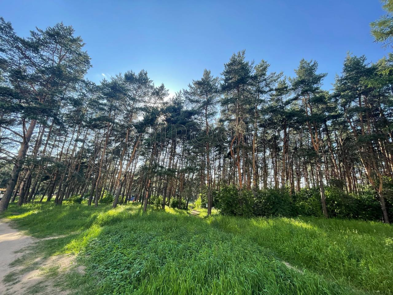 3-комнатная квартира, 59.6 м² - фото 40