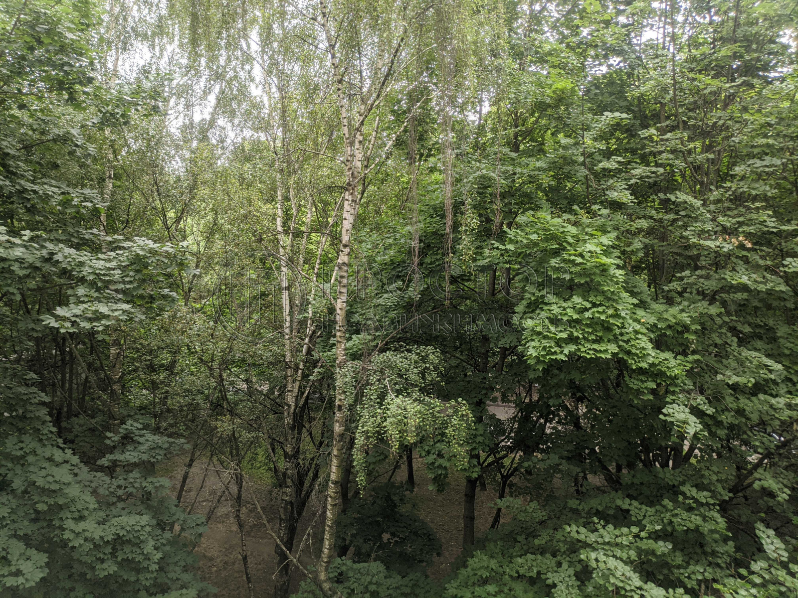 3-комнатная квартира, 58.4 м² - фото 11