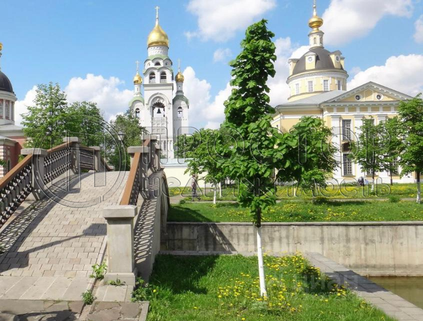 2-комнатная квартира, 40 м² - фото 22