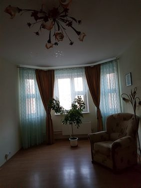 3-комнатная квартира, 75.1 м² - фото 2