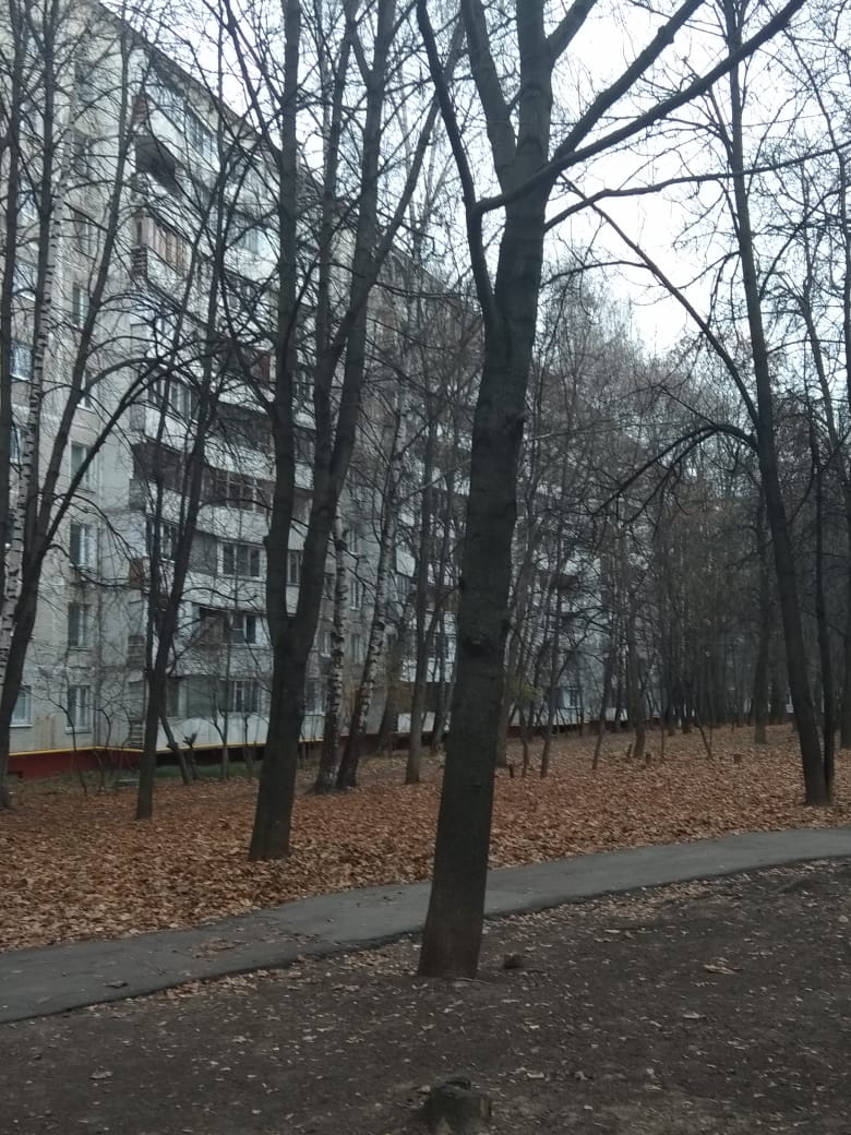 1-комнатная квартира, 35 м² - фото 2