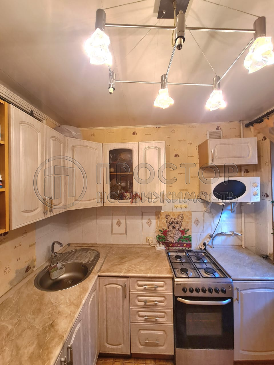 1-комнатная квартира, 28.9 м² - фото 2