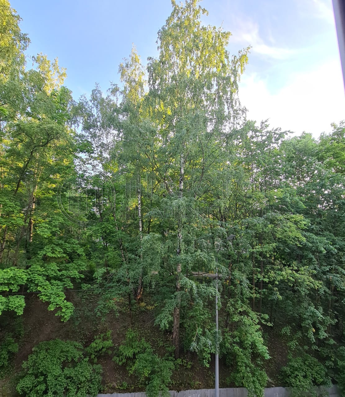1-комнатная квартира, 28.9 м² - фото 13