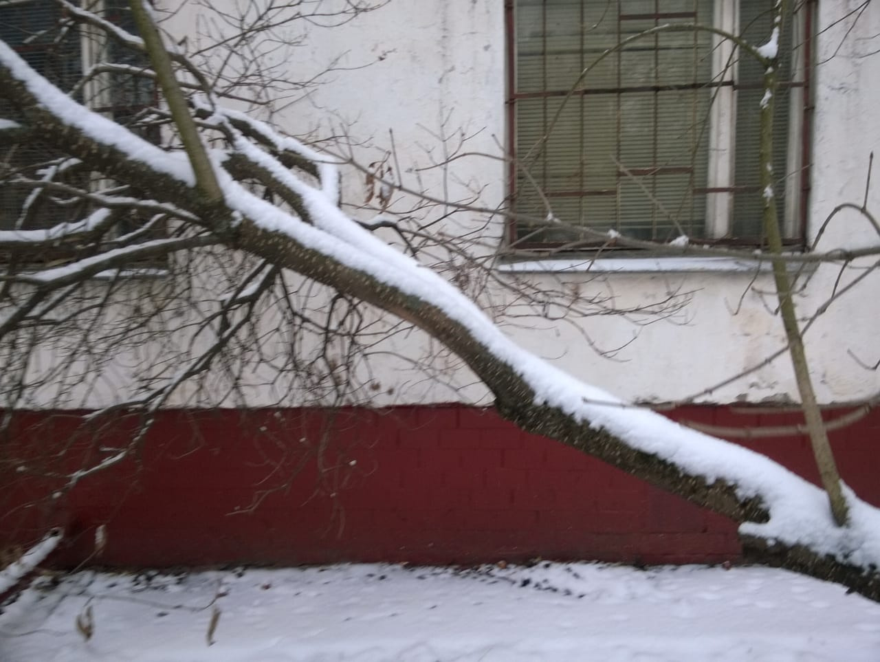 2-комнатная квартира, 47.2 м² - фото 21