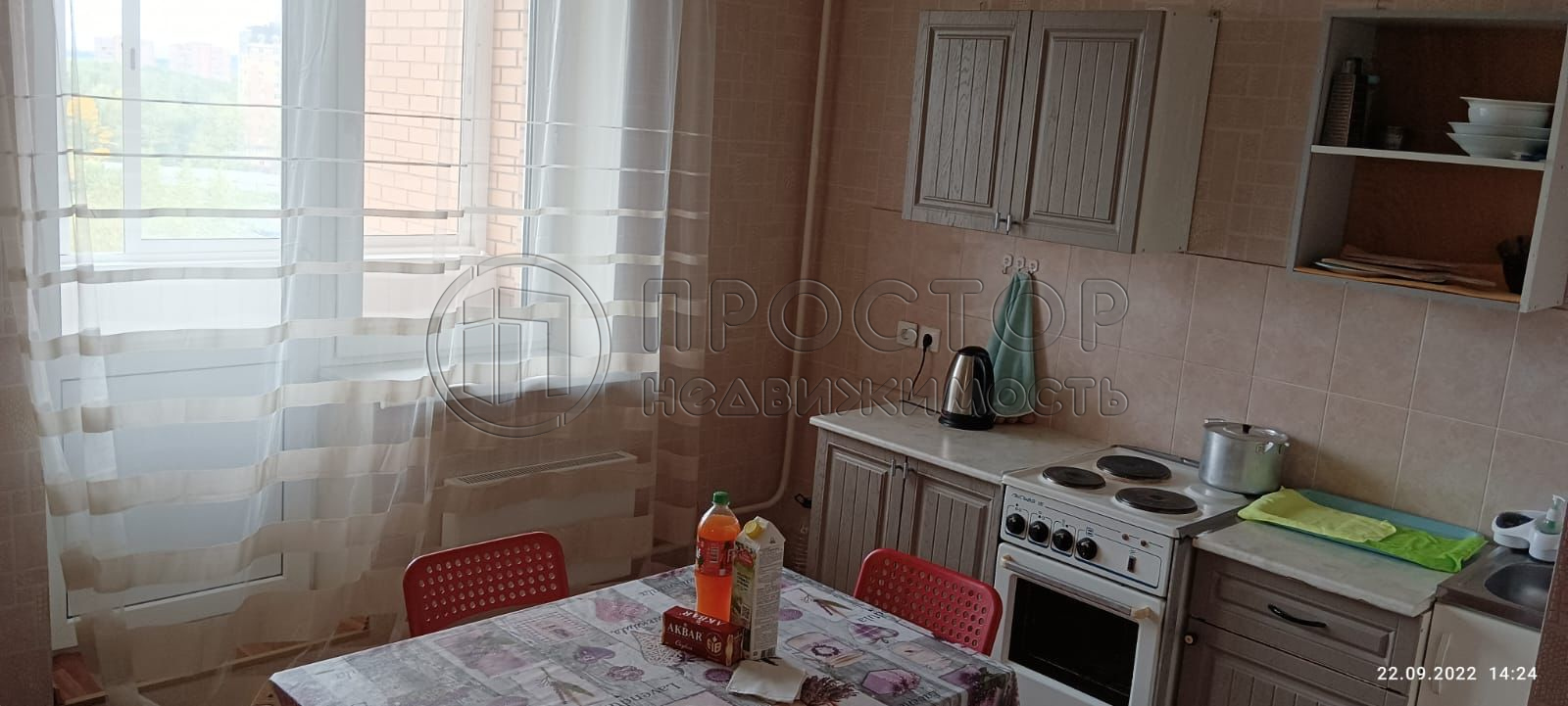 2-комнатная квартира, 54.8 м² - фото 2
