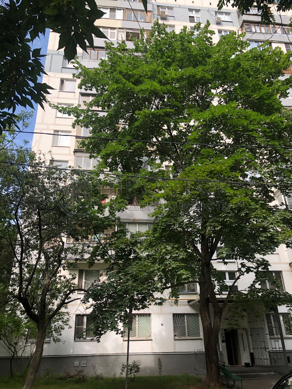 3-комнатная квартира, 67.6 м² - фото 2