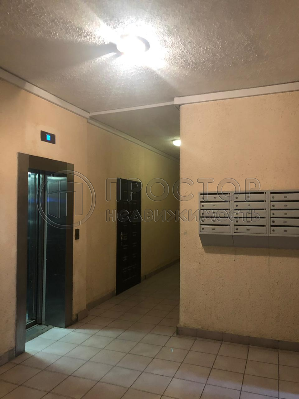 2-комнатная квартира, 50.8 м² - фото 3