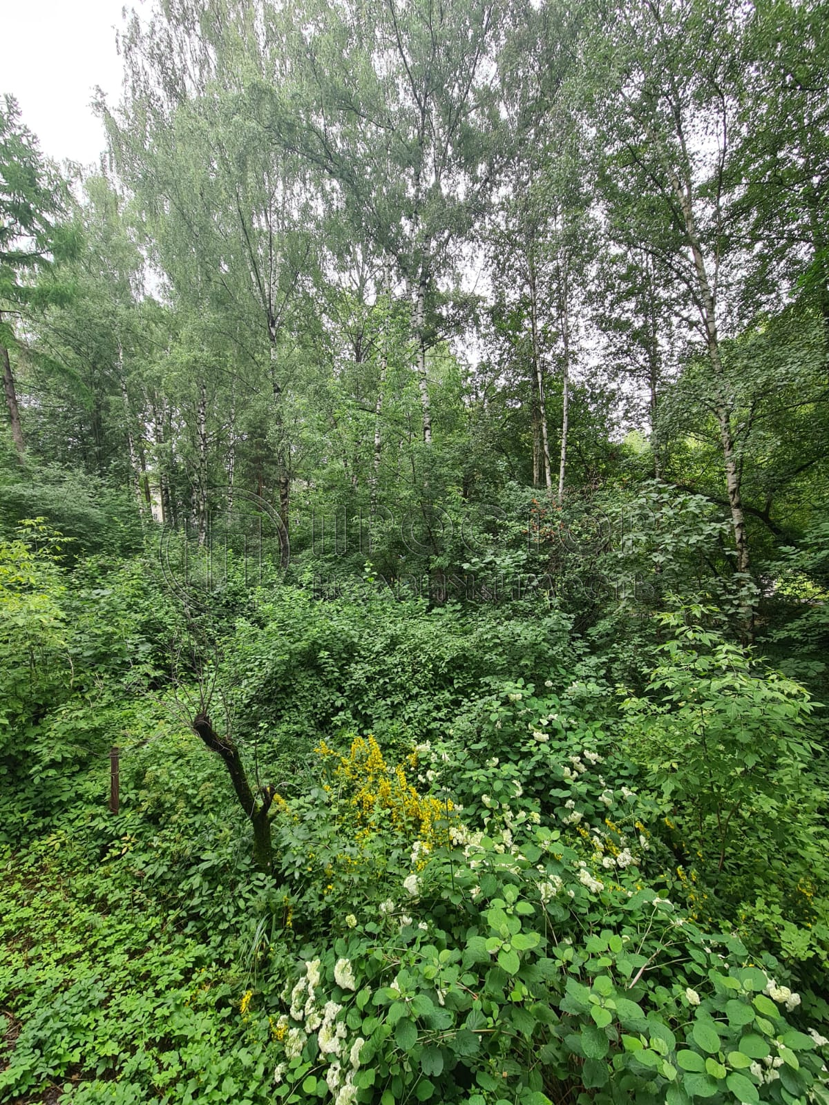 3-комнатная квартира, 60 м² - фото 17