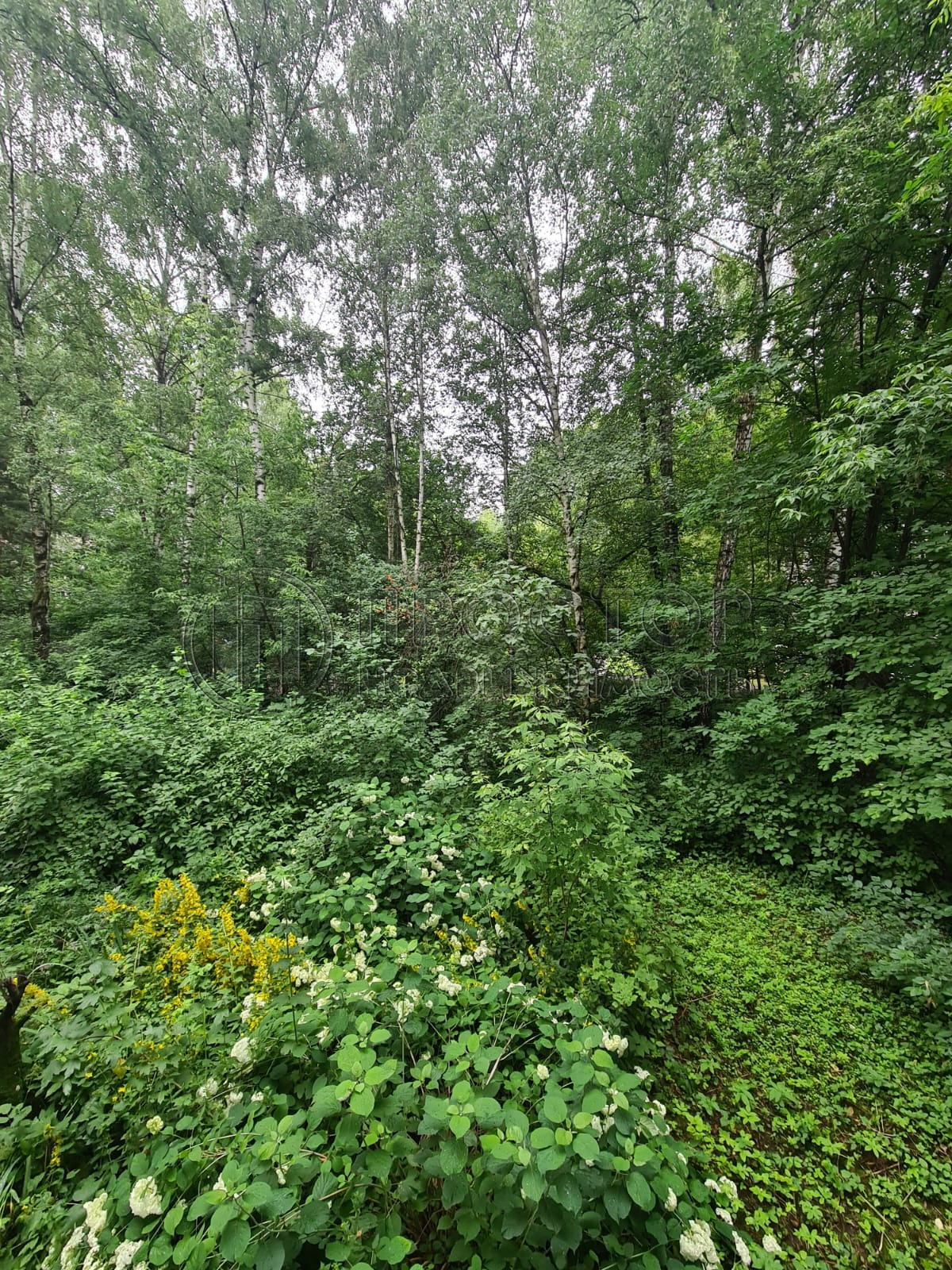 3-комнатная квартира, 60 м² - фото 18