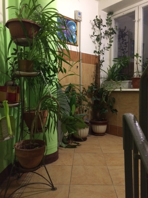 3-комнатная квартира, 59 м² - фото 7