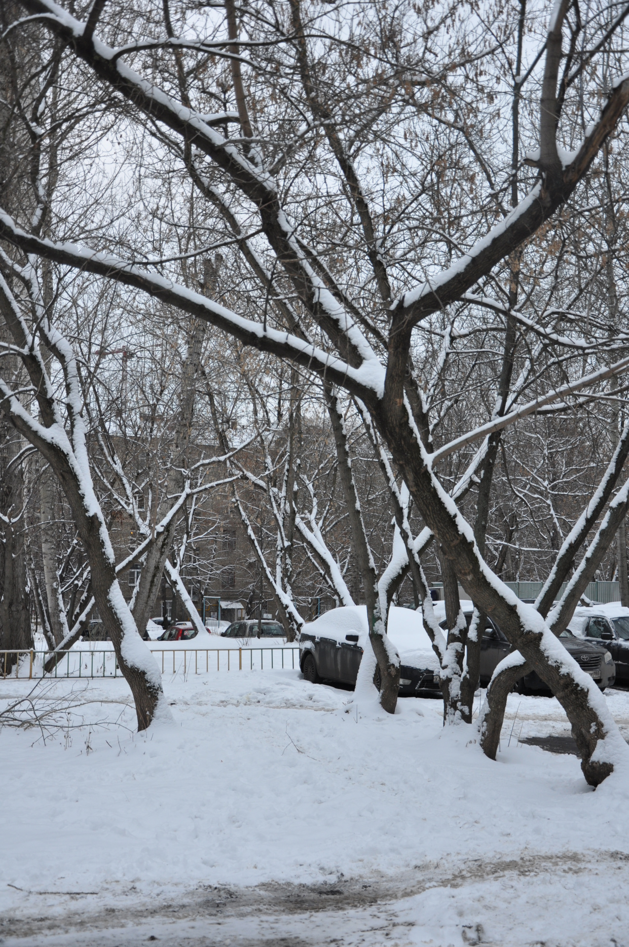 3-комнатная квартира, 55 м² - фото 13