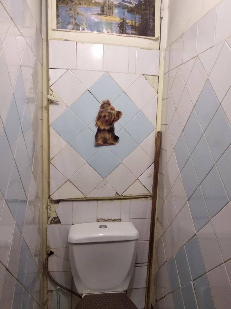 3-комнатная квартира, 58 м² - фото 12