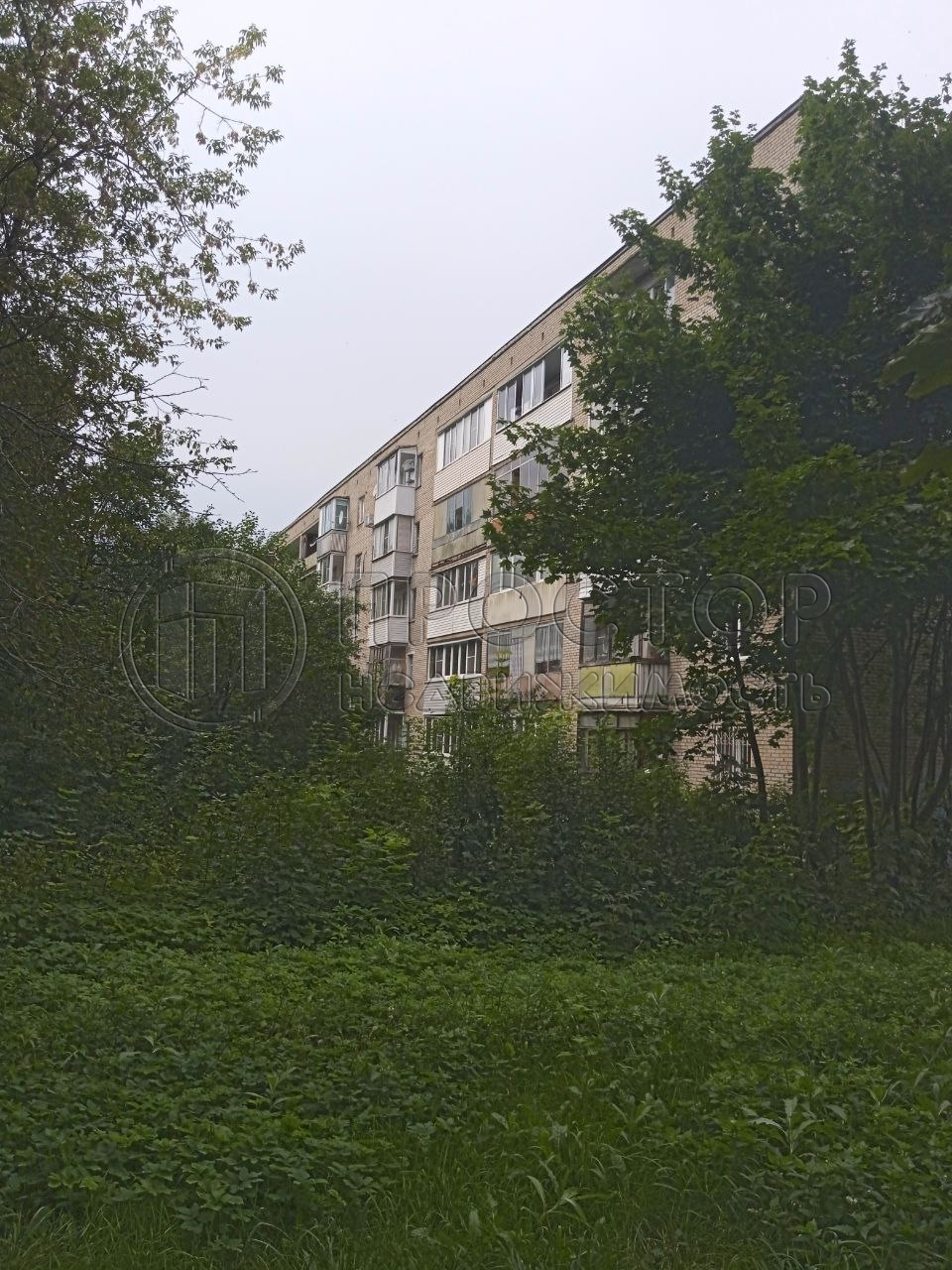 3-комнатная квартира, 62 м² - фото 3