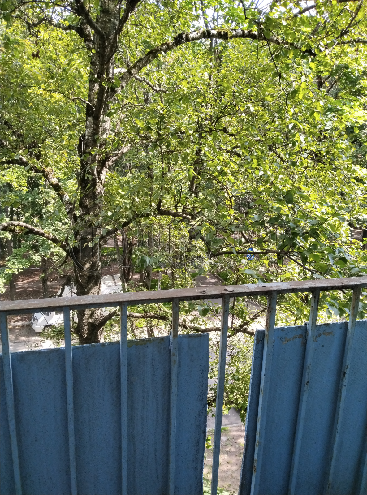 2-комнатная квартира, 41.5 м² - фото 7