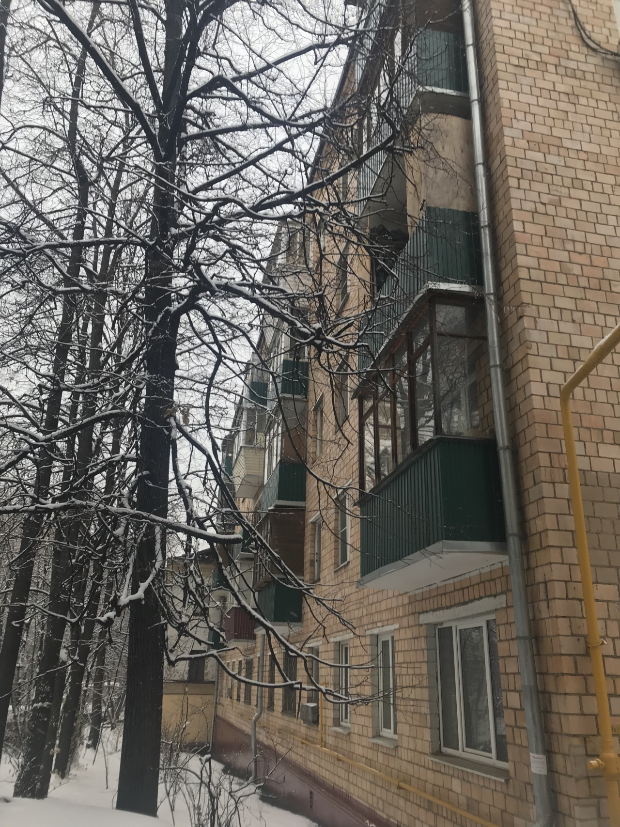 2-комнатная квартира, 44 м² - фото 3