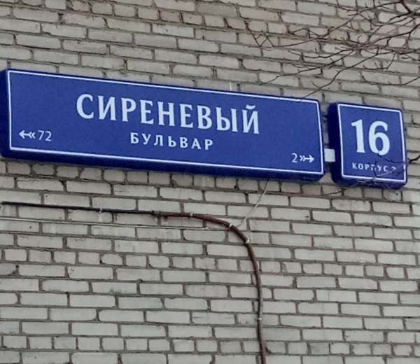 Фотографии На Ул Сиреневый Бульвар