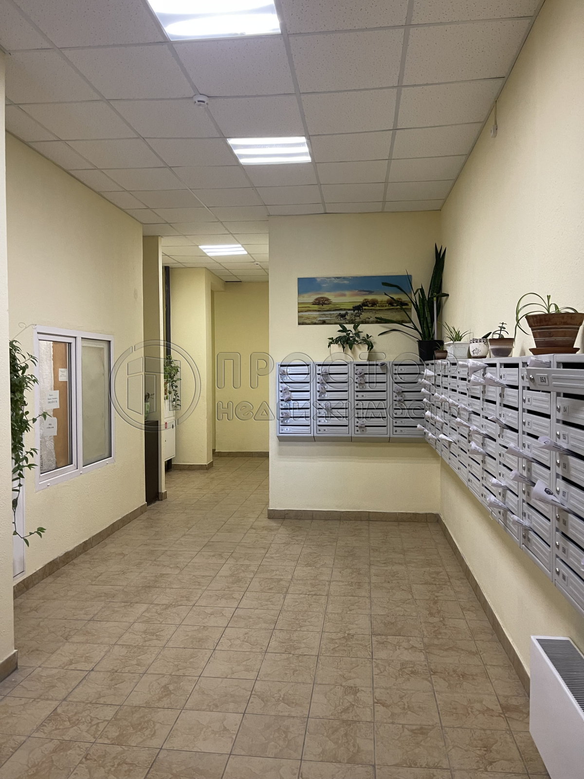 Студия, 29.1 м² - фото 8