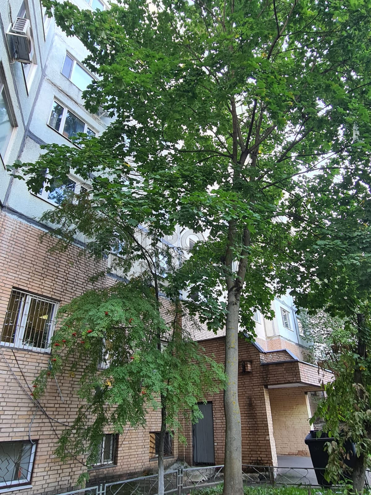 3-комнатная квартира, 62.1 м² - фото 9