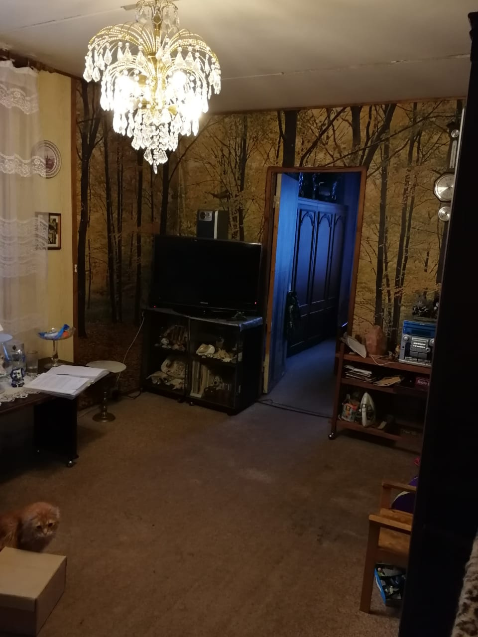 3-комнатная квартира, 68 м² - фото 4