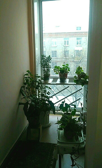 1-комнатная квартира, 37.4 м² - фото 13