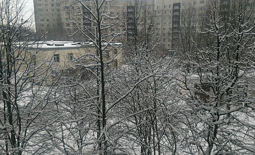3-комнатная квартира, 63.9 м² - фото 22