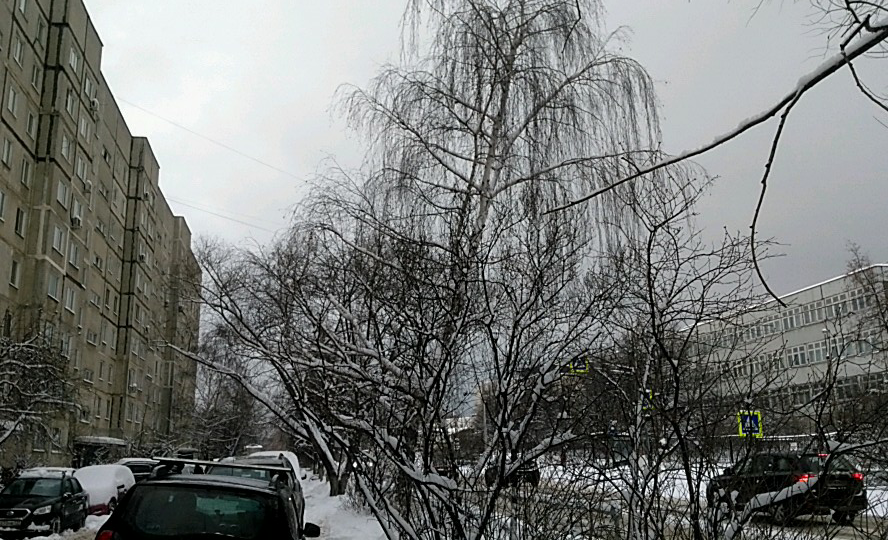 3-комнатная квартира, 63.9 м² - фото 30