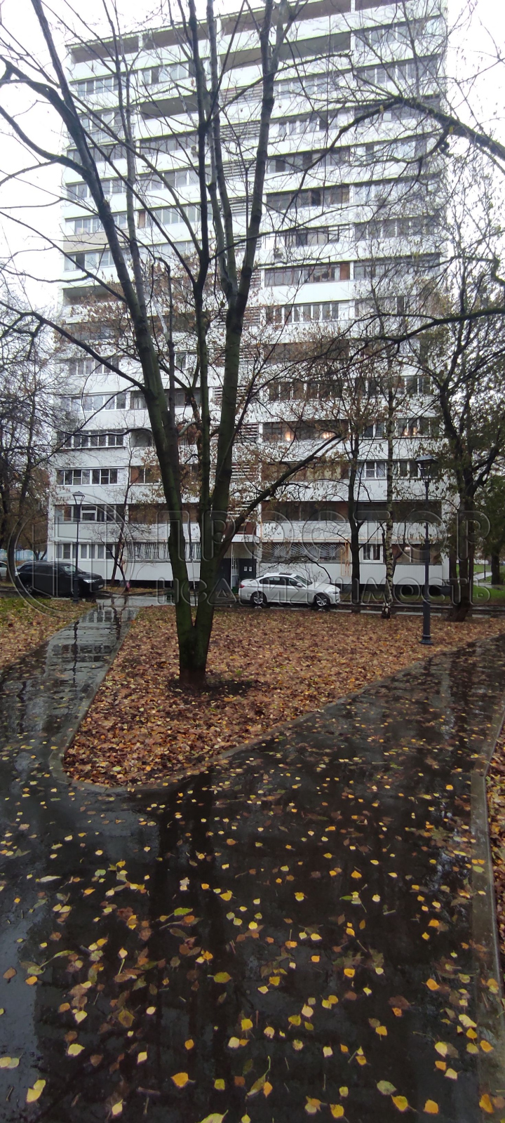 2-комнатная квартира, 42.6 м² - фото 5