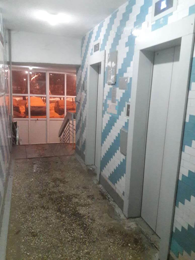 2-комнатная квартира, 52.3 м² - фото 13