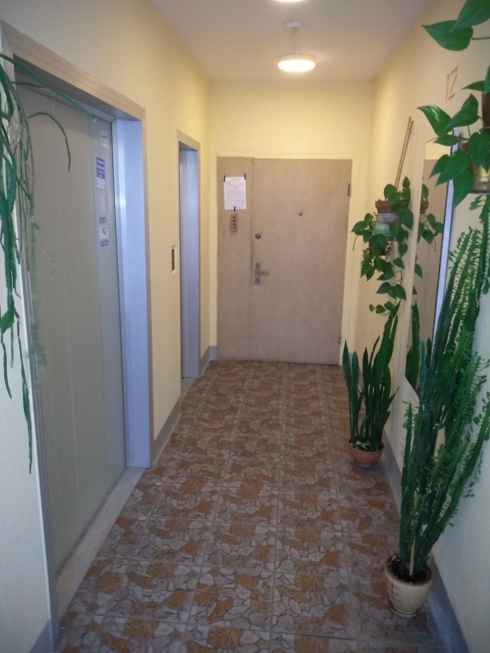 2-комнатная квартира, 57 м² - фото 5