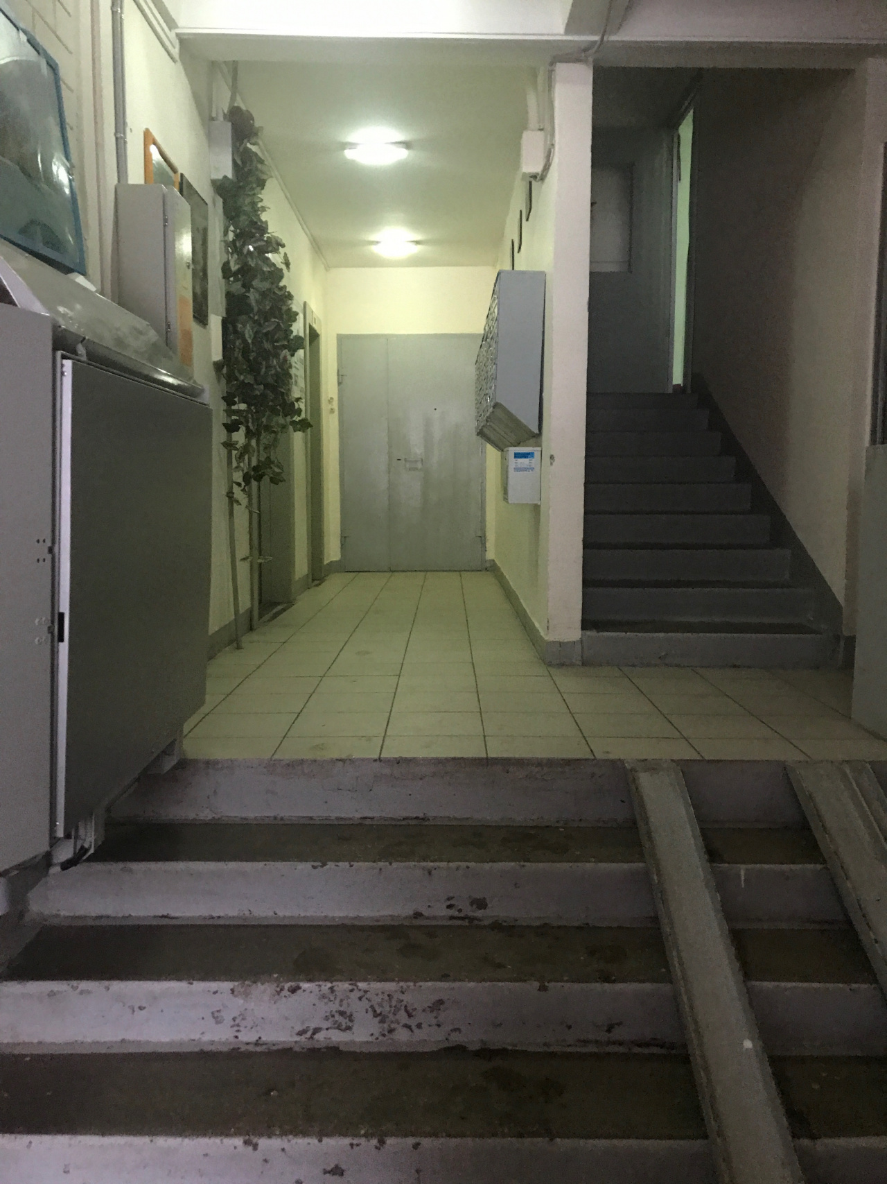 2-комнатная квартира, 51.2 м² - фото 6