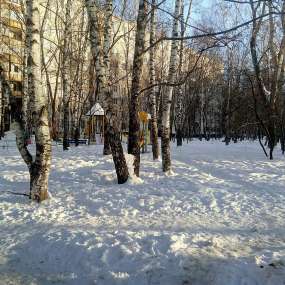 Фото квартиры