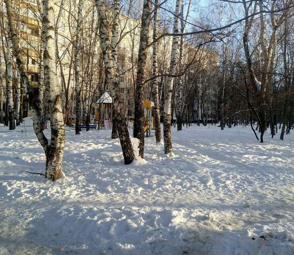 Фото квартиры