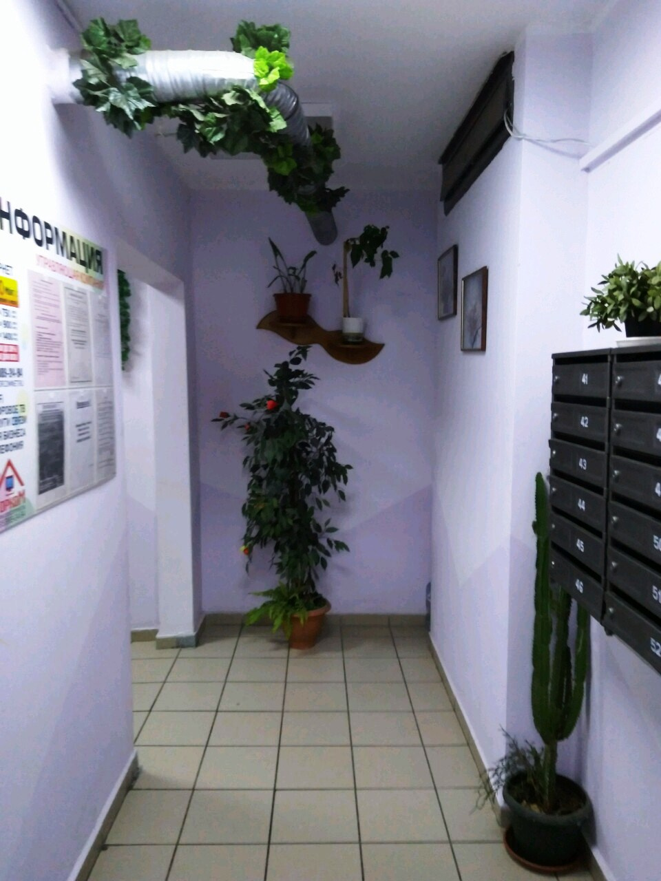 2-комнатная квартира, 51.3 м² - фото 12
