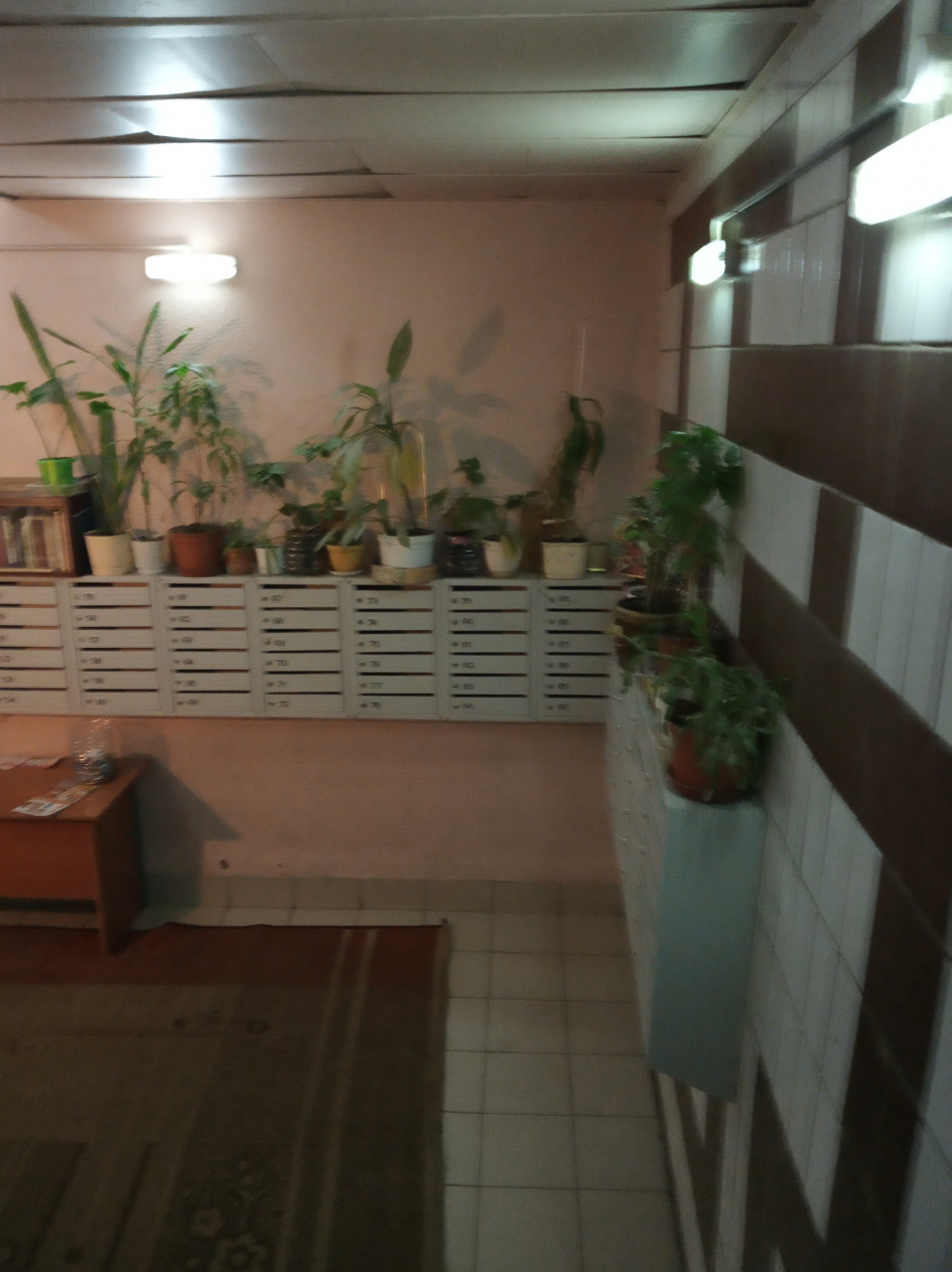 3-комнатная квартира, 65 м² - фото 13