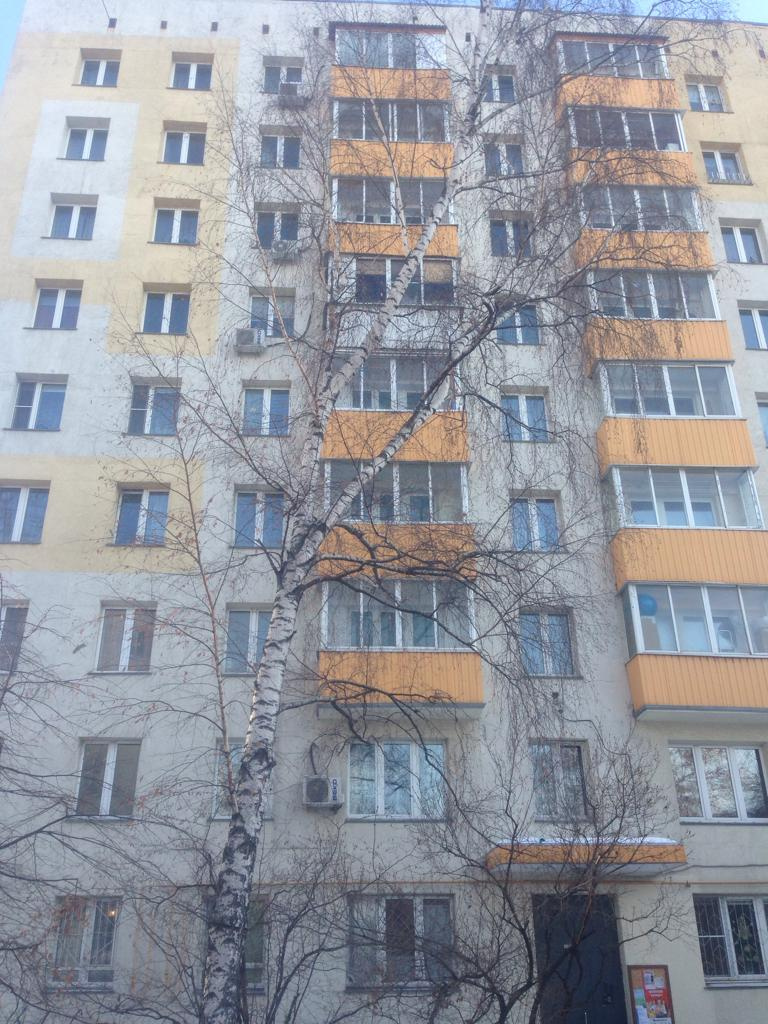 2-комнатная квартира, 38.6 м² - фото 13