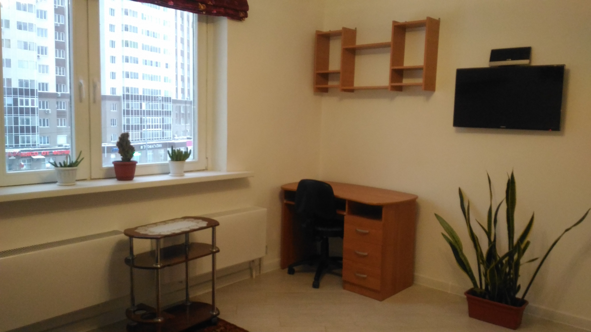1-комнатная квартира, 24 м² - фото 4
