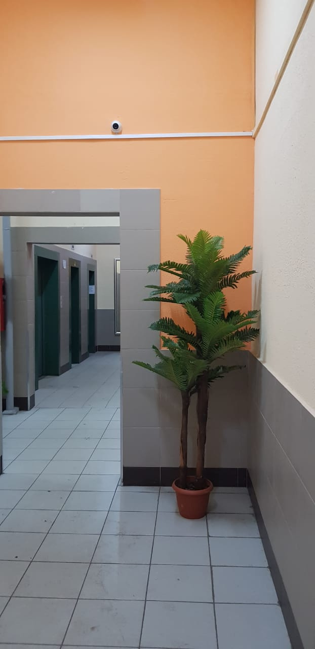 3-комнатная квартира, 115 м² - фото 5