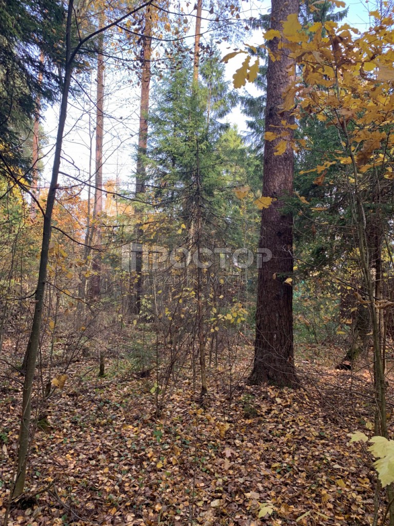 Участок, 15 сот. - фото 3